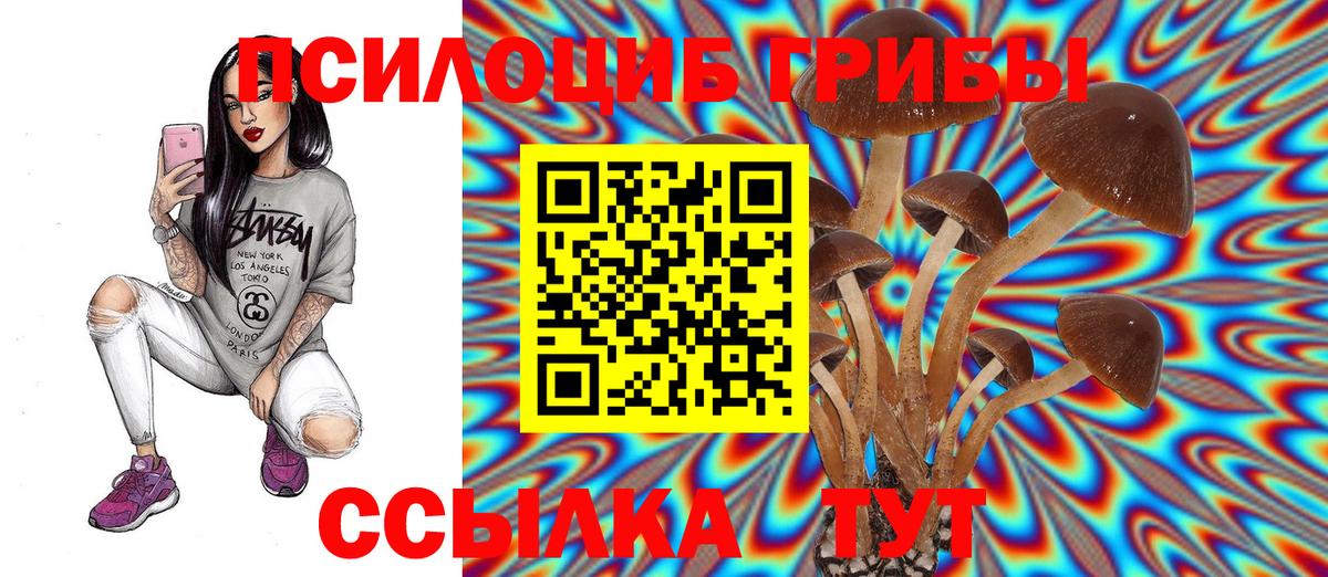 Галлюциногенные грибы MAGIC MUSHROOMS Полысаево