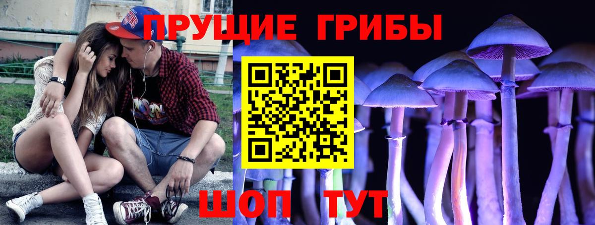 Галлюциногенные грибы GOLDEN TEACHER  Вход с VPN  Полысаево 